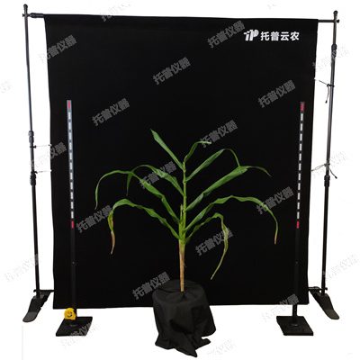 TPMT-X-1玉米株型分析系統(tǒng)