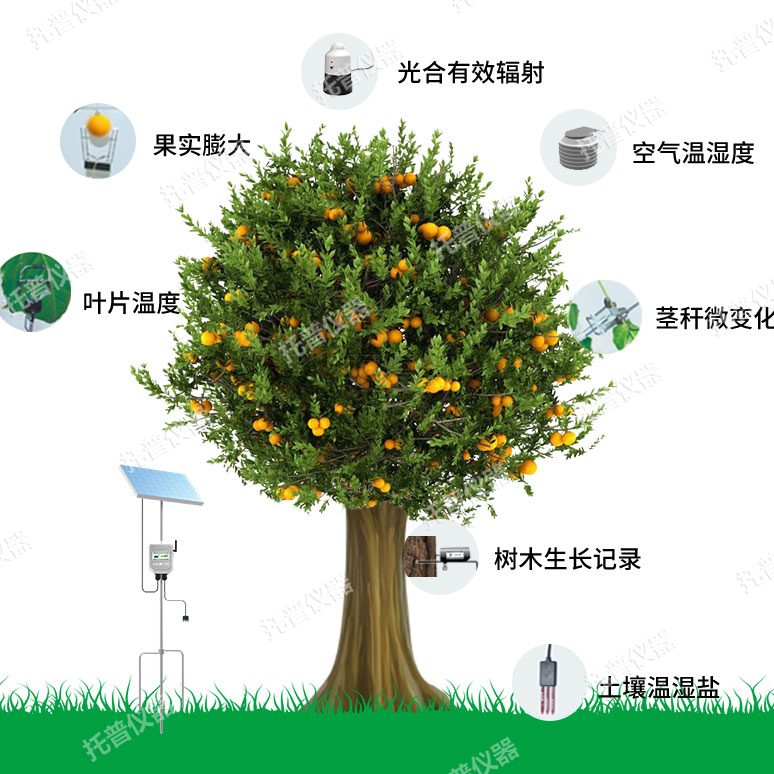 植物生理生態(tài)監(jiān)測(cè)系統(tǒng)