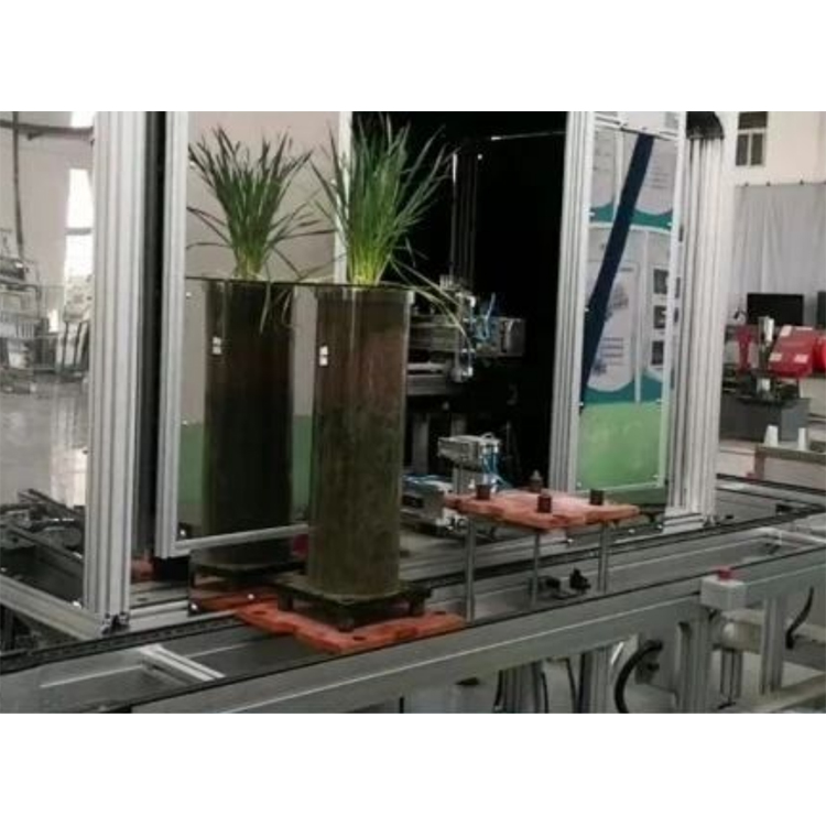 TPN-GXY-GT高通量植物根系表型采集分析系統(tǒng)（根筒式）